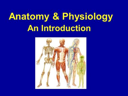 Anatomy & Physiology An Introduction