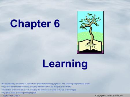 Copyright © Allyn & Bacon 2007 Chapter 6 Learning This multimedia product and its contents are protected under copyright law. The following are prohibited.