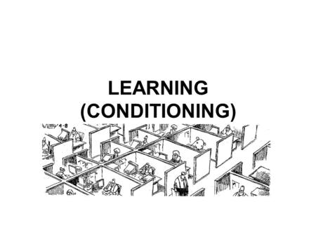 LEARNING (CONDITIONING). Another word for learning is conditioning Def: the process of learning associations between environmental events and behavioral.