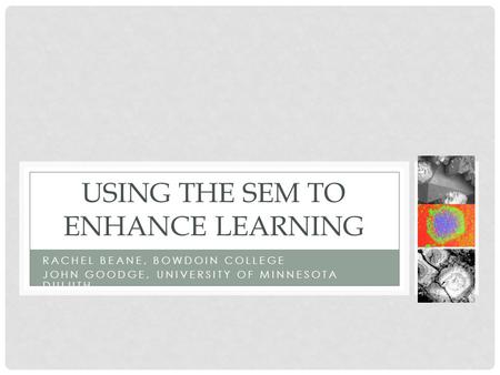 RACHEL BEANE, BOWDOIN COLLEGE JOHN GOODGE, UNIVERSITY OF MINNESOTA DULUTH USING THE SEM TO ENHANCE LEARNING.