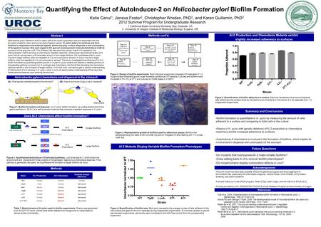 Katie Canul 1, Jeneva Foster 2, Christopher Wreden, PhD 2, and Karen Guillemin, PhD 2 1 California State University Monterey Bay, Seaside, CA 2, University.