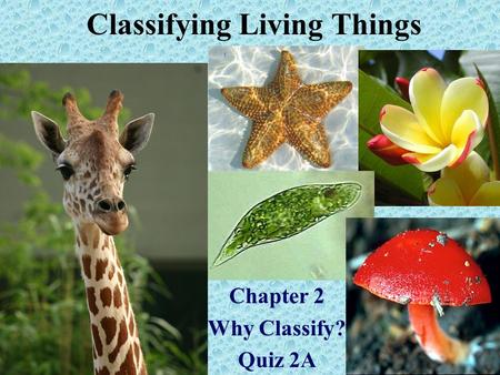 Classifying Living Things