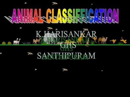 K.HARISANKAR GHS SANTHIPURAM IMPORTANCE OF ANIMAL CLASSIFICATION So far, over 10 lakhs of animal species have been identified and described. They show.