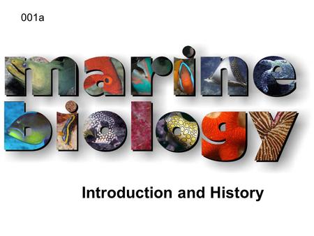 Introduction and History