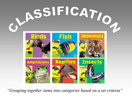 CLASSIFICATION “Grouping together items into categories based on a set criteria”