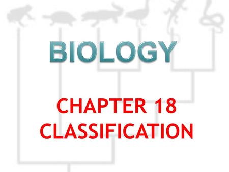 CHAPTER 18 CLASSIFICATION