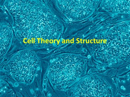 Cell Theory and Structure. Development of the Light Microscope Evolution of the Cell Theory Spontaneous Generation Disproven Histochemistry, Mitosis,