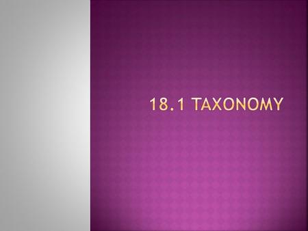 18.1 Taxonomy.