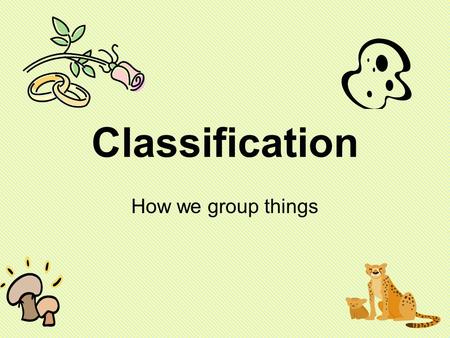 Classification How we group things.