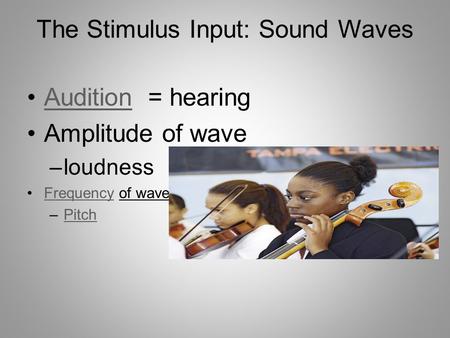 The Stimulus Input: Sound Waves