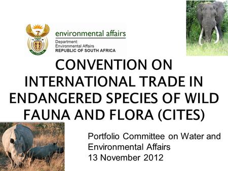 CONVENTION ON INTERNATIONAL TRADE IN ENDANGERED SPECIES OF WILD FAUNA AND FLORA (CITES) Portfolio Committee on Water and Environmental Affairs 13 November.