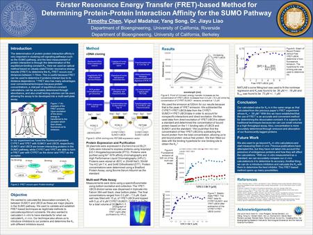 Introduction The determination of protein-protein interaction affinity is very important in studying cell signaling pathways such as the SUMO pathway,