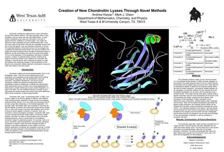 Above left: Chondroitin ABC lyase I from Proteus vulgaris Above right: The substrate binding domain from chondroitin ABC lyase I Below: The cycle of protein.