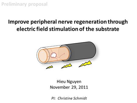 Improve peripheral nerve regeneration through electric field stimulation of the substrate Hieu Nguyen November 29, 2011 PI: Christine Schmidt Preliminary.