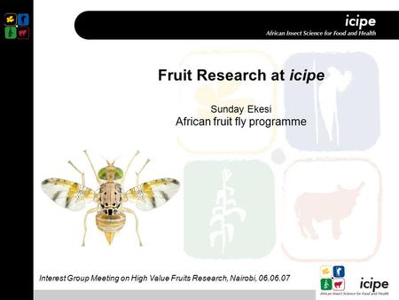 Fruit Research at icipe Sunday Ekesi African fruit fly programme Interest Group Meeting on High Value Fruits Research, Nairobi, 06.06.07.