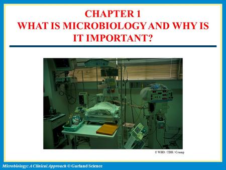 ISBN: 978-0-8153-6514-3 Microbiology: A Clinical Approach, by Tony Srelkauskas © Garland ScienceMicrobiology: A Clinical Approach © Garland Science CHAPTER.