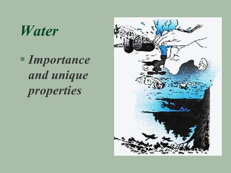 Water §Importance and unique properties. Features §covers 71% of the Earth’s surface §regulates Earth’s climate §dilutes wastes §sculpts earth’s surface,