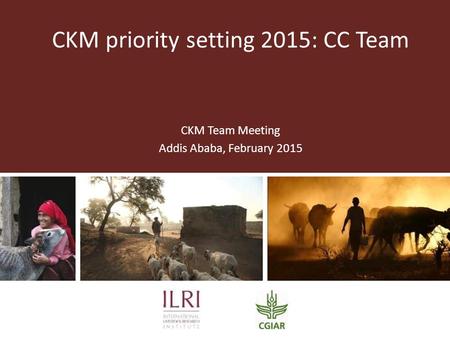 CKM priority setting 2015: CC Team CKM Team Meeting Addis Ababa, February 2015.