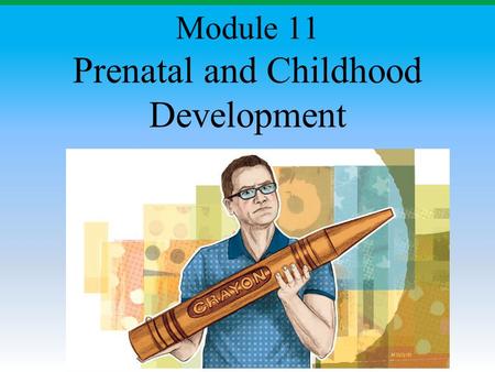 Prenatal and Childhood Development