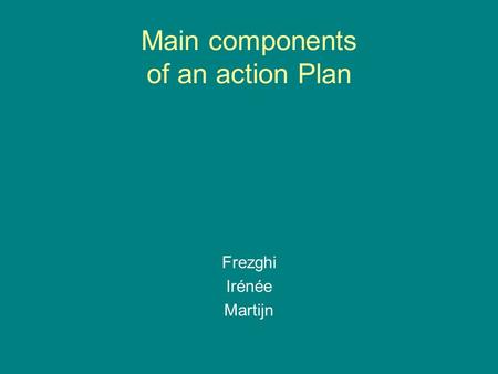 Main components of an action Plan Frezghi Irénée Martijn.