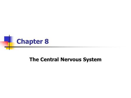 The Central Nervous System