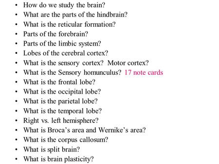 How do we study the brain?