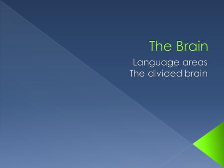  Language, in all its forms, is processed, created and understood in various parts of the brain.  Through research, it has been determined that there.