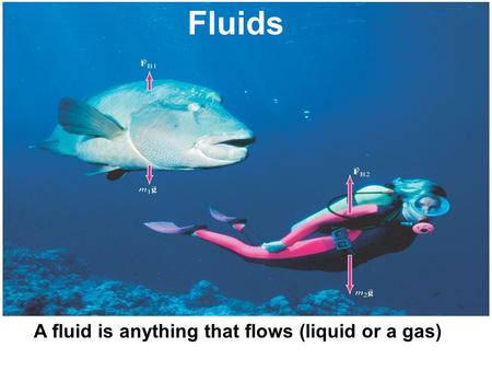 Fluids A fluid is anything that flows (liquid or a gas)