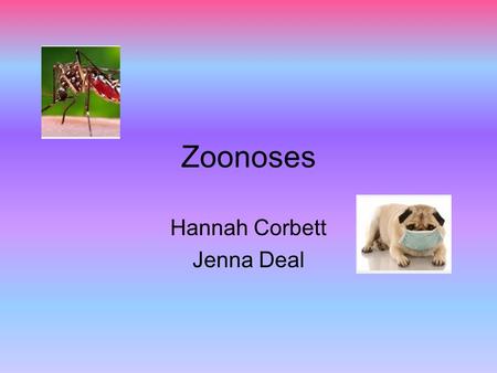 Zoonoses Hannah Corbett Jenna Deal. Essential Question How can you prevent zoonotic diseases?