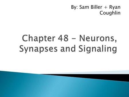 By: Sam Biller + Ryan Coughlin. Neurons are nerve cells that transfer information within the body. The structure of Neurons allows them to use pulses.