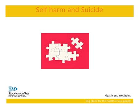 14/09/2015Presentation name114/09/2015Presentation name1 19/14/2015 Self harm and Suicide.