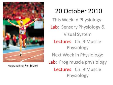 20 October 2010 This Week in Physiology: Lab: Sensory Physiology & Visual System Lectures: Ch. 9 Muscle Physiology Next Week in Physiology: Lab: Frog muscle.