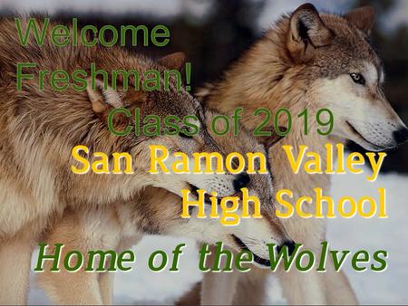 San Ramon Valley High School Home of the Wolves Home of the Wolves.