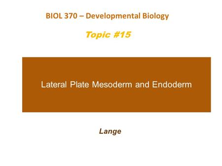 Lateral Plate Mesoderm and Endoderm Lange BIOL 370 – Developmental Biology Topic #15.