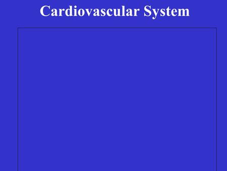 Cardiovascular System