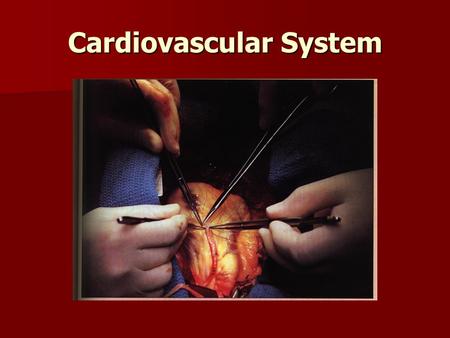 Cardiovascular System. I. Functions of the heart. 1. Generating blood pressure. 2. Routing blood. 3. Ensuring blood moves one way. 4. Regulating blood.