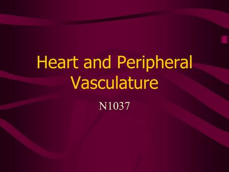 Heart and Peripheral Vasculature