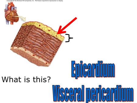 What is this?. What is this space? What is this?