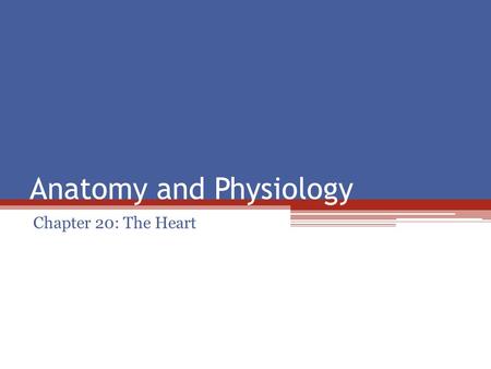 Anatomy and Physiology