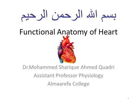 Functional Anatomy of Heart Dr.Mohammed Sharique Ahmed Quadri Assistant Professor Physiology Almaarefa College 1.