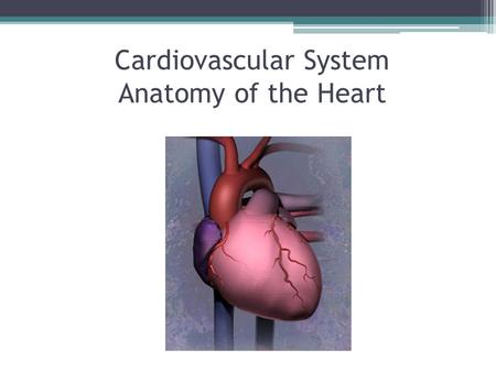 Cardiovascular System Anatomy of the Heart. The Cardiovascular system is comprised of the heart, blood vessels, & blood The heart acts as a “pump”, creating.