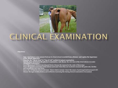 Objectives: State what features of an animal/bird can be observed and recorded from a distance and explain the importance of the distant inspection. Describe.