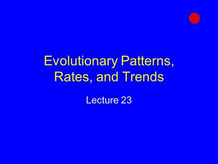 Evolutionary Patterns, Rates, and Trends Lecture 23.