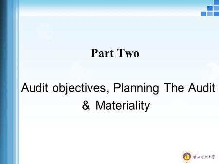 Audit objectives, Planning The Audit