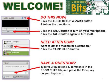 DO THIS NOW! Click the AUDIO SETUP WIZARD button & follow the directions. Click the TALK button to turn on your microphone. Click the TALK button again.