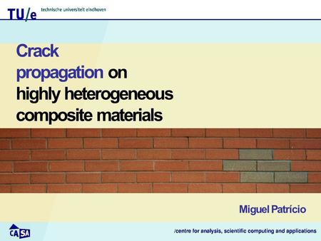 Crack propagation on highly heterogeneous composite materials Miguel Patrício.