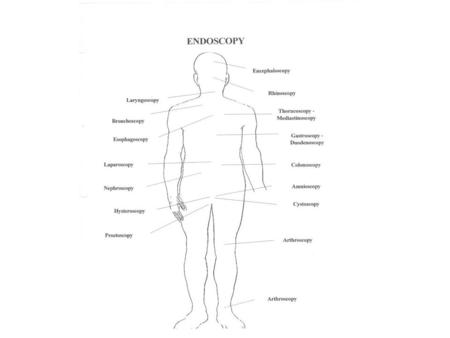 1Proximal EndInterface point with the eye or video equipment 2Distal EndFurthest point from the proximal end or users eye 3Insertion.