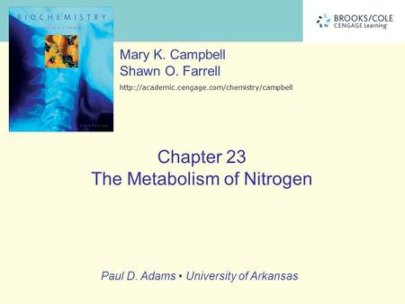 Nitrogen Fixation Nitrogen fixation is the reduction of ____________: