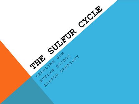 THE SULFUR CYCLE CAROLINE GOH EVELYN QUIROZ ASHTON GARRIOTT.