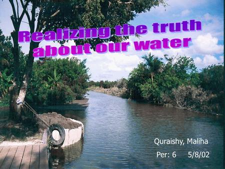 Quraishy, Maliha Per: 6 5/8/02. 1) OUR GOALS4) CONCLUSIONS 2) BACKGROUND INFO.5) ACTION PLAN 3) OUR RESULTS FOR:6) REFERENCES -Temperature-Turbidity -pH-Phosphates.